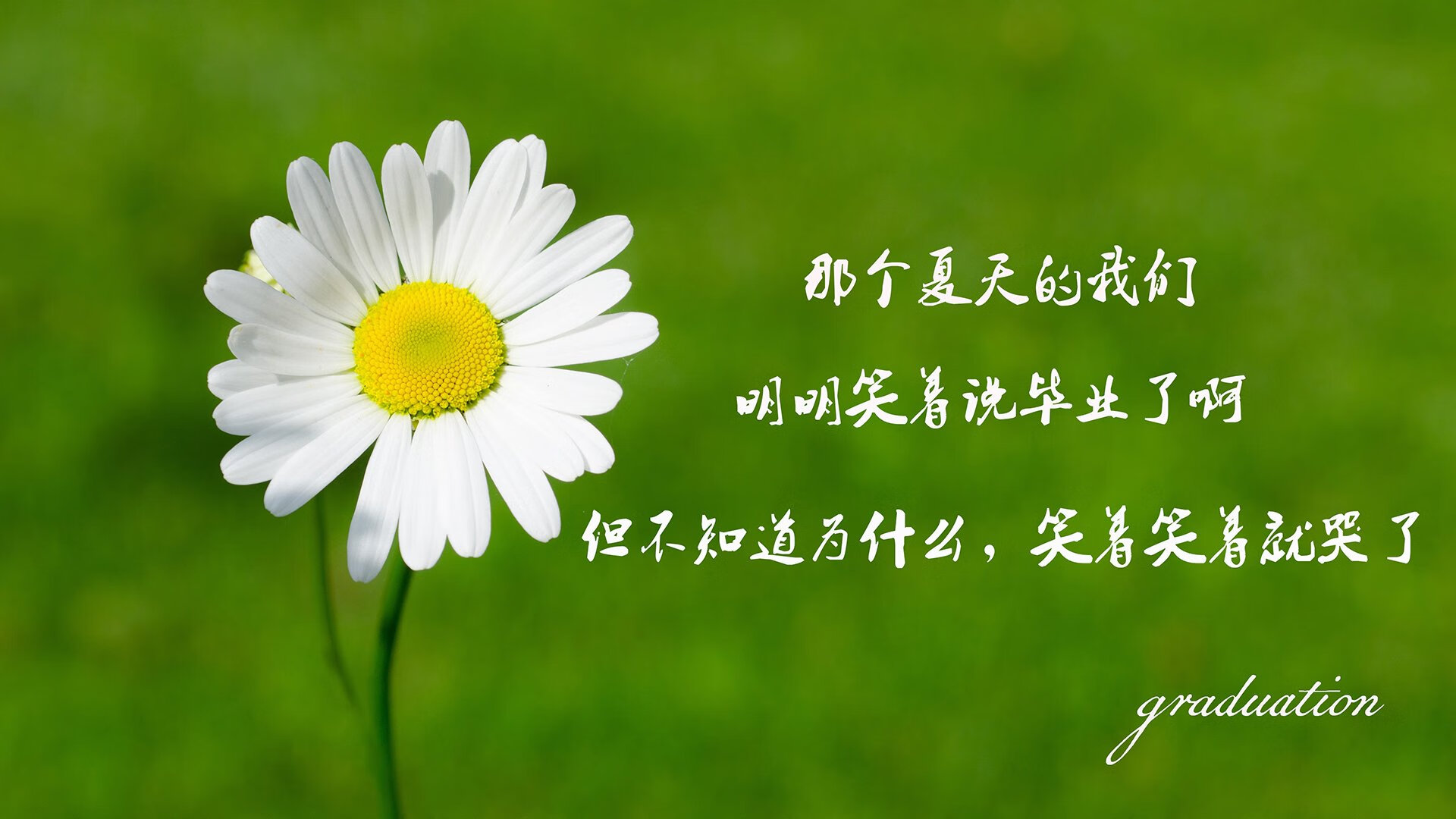 “中超联赛新赛季门票销售火爆,观众踊跃”,2021赛季中超门票