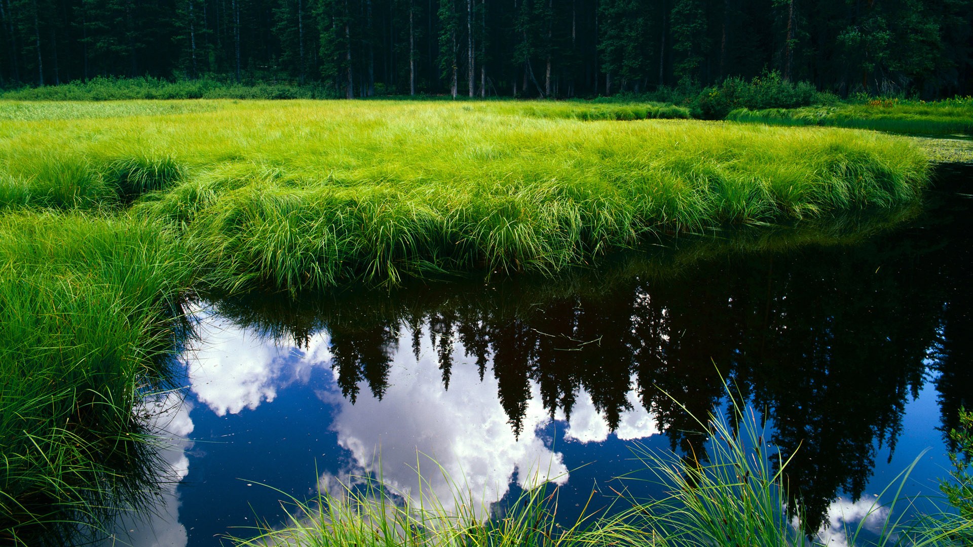 九游中心官网-弗鲁米嫩塞中场安德烈转会至意甲球队，挑战欧洲赛场，弗鲁米嫩塞对米竞技